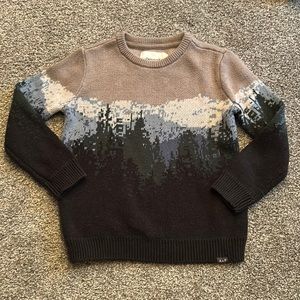 Excellent condition Abercrombie kids mountain scape printed knit sweater.